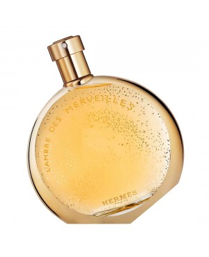 HERMÈS L'ambre des...